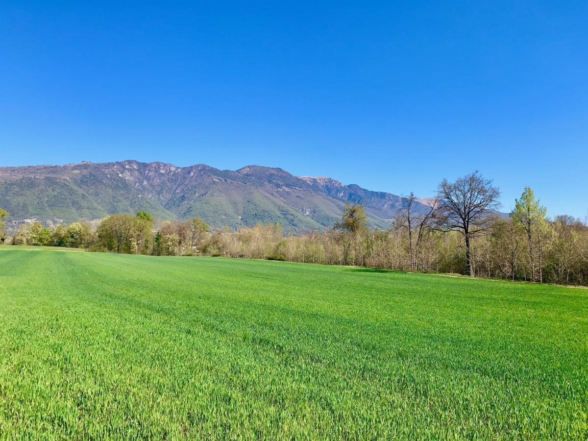 Flyingaway Bed & Breakfast Borso del Grappa Bagian luar foto